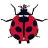 Vela Zaino Coccinella Vela THE Insetto Borsa Scuola Bambini Realistica Coccinella ...