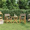 vidaXL Sedie da Regista Pieghevoli 2 pz Grigio Legno Massello di Teak vidaXL