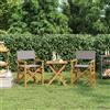 vidaXL Sedie da Regista Pieghevoli 2 pz Grigio Legno Massello di Teak vidaXL