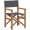 vidaXL Sedie da Regista Pieghevoli 2 pz Grigio Legno Massello di Teak vidaXL