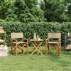 vidaXL Sedie da Regista Pieghevoli 2 pz Grigio Legno Massello di Teak vidaXL