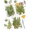 Cinvo 63 pezzi vere foglie secche pressate naturali assortite vegetazione s