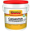Brignola CASAVIVA BRIGNOLA IDROPITTURA ANTICONDENSA E ANTIMUFFA 14LT