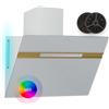 Klarstein Alina - Cappa Aspirante, 60cm, Cappa a Parete, 600 m³/ora, LED 9 Color