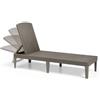 Allibert Lettino da Giardino Piscina in Resina Japur Sunlounger Cappuccino