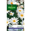 Vilmorin 5217241 Crisantemo Grande Margherite, Bianco, 90 x 2 x 160 cm