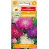 Toraf Crisantemo aster misto 1 g