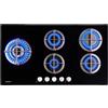 PremierTech® PremierTech Piano cottura a gas 5 fuochi 90cm Vetro P590VL