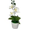 Vaso fioriera bonsai orchidea Phalaenopsis plastica realistica ornamento interno