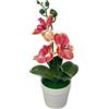 Vaso fioriera bonsai orchidea Phalaenopsis plastica realistica ornamento interno