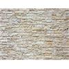 AG Design FTNXXL 2412 Photo Wall Mural, Multicolore, 360 x 270
