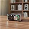 Amplificatore Classe D Ingresso USB Lettore MP3 Alta Fedeltà per Scrivania
