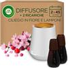 Airwick Air Wick Armonia Istantanea, Diffusore di Oli Essenziali con 2 Ricariche, Fragranza Ciliegio in Fiore e Lamponi, 2 x 20ml, Include 3 Pile AA