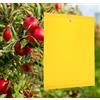 Does not apply Plant Flycatcher, 50 Pezzi 15X20 Cm Trappole Appiccicose Biadesivo per Insetti V