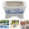 Piccola Pianta in Vaso Porcellana Bianca Blu Di Fiori Cinese Retrò Antico