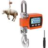 EFUTURETIME Bilancia Gancio Sospesa Digitale 500 KG, Bilancia Elettronica