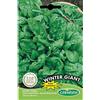 Does not apply Winter Giant Semi Di Spinaci 15 G