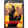 strays dvd editoriale italiano custodia standard nuovo Sigillato 823 x 1 20/06