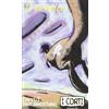Il nemico invisibile metzenthen david EL corti racconto ragazzi australia libro