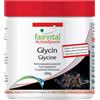 fairvital Glicina In Polvere 500 g Aminoacido Glicina Pura Al 100% Senza Additivi