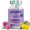 Gloryfeel Complesso di Cardo Mariano con Carciofo Dente di leone 120 capsule Alto dosaggio