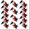 14 Pcs Confezione Regalo Di Laurea Del Dr. Bear Orso Laureato Mini Orsetto