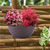 Supporto per piante in vaso da fiori da appendere al muro per ringhiera