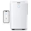 Pro Breeze OmniDry Deumidificatore Casa Muffa 20L/Giorno con Serbatoio da 4L e W