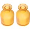 2 flaconi diffusori in , 130 ml/4,4 oz, flaconi vuoti per profumo,