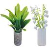 2 Pcs Piante Artificiali Realistiche Figurine Bonsai Vaso Miniatura