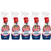 splendeo 5pz detergente igienizzante multiuso SPLENDEO Giardino di Rose 750ml