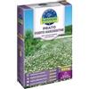 Flortis Semi prato margheritine EUROSEME - Con miscuglio di margherite di campo