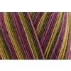 West Yorkshire Spinners Filato In Lana Da Maglia WYS Signature A 4 Fili 100G - Passion Fruit Cooler 811