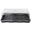 Idroponica Mini Serra Propagatore Ventilato 57x37x21 cm Germinazione Semi Talee Prese Aria