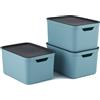 Rotho Kunststoff AG Jive Dekobox Set di 3 contenitori 16l con coperchio, Plastica (PP