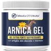 Arnica per Cavalli Uso Umano - Gel Raffreddante Con Artiglio Del Diavolo E Mento