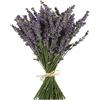 TooGet Technology TooGet Fasci di Lavanda Naturali, Appena Raccolte 400 Steli Essiccati di