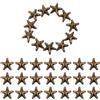 100 Pcs Rivetti Decorativi Unghie Decorative Ad Artiglio Fai -da -te