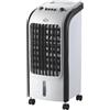 DCG Raffrescatore d'Aria Dcg 65W 4 Litri Oscillazione 2 Ghiacci Sintetici