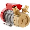Rover 50 BE-M - Pompa elettrica da travaso 3 HP bronzo 250 l/min 25 m prevalenza