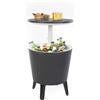 Keter Cool Bar Portaghiaccio Grigio 49.5X84.5X49.5 Cm