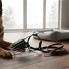 Museruola in Ferro Resistente Museruola Anti-Morso per Passeggiata, Cani Grandi