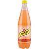 Schweppes Pompelmo Rosa 1L X6 bottiglie