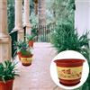 Vaso Idroponico Contenitore Per Bonsai Cinese Fioriera Decorativa