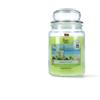 Magic Lights Candela Profumata Mojito 510g Lime e Menta Fresca 90/100 Ore