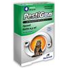SLAIS Srl Pestigon Antiparassitario per Gatti Pipette Spot On Antipulci e Zecche