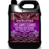 Dirtbusters Pet Carpet Cleaner Detergente per tappeti e moquette shampoo professionale con