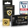 PATONA PROTECT LP E6NH Batteria 2600mAh compatibile con Canon EOS R5 R6 R6II R7
