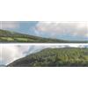ID Backscenes Forest Hills OO Gauge (15"x10') Pacco B Premium ID Backscenes 201B