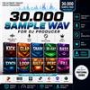 Image Line 30.000 Sample Wav Dj Producer- Kick Bass Synth Fx Vocal Loop FL Studio Ableton
